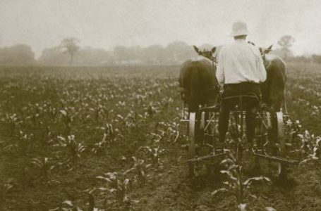 The Rise of Riding Implements Image